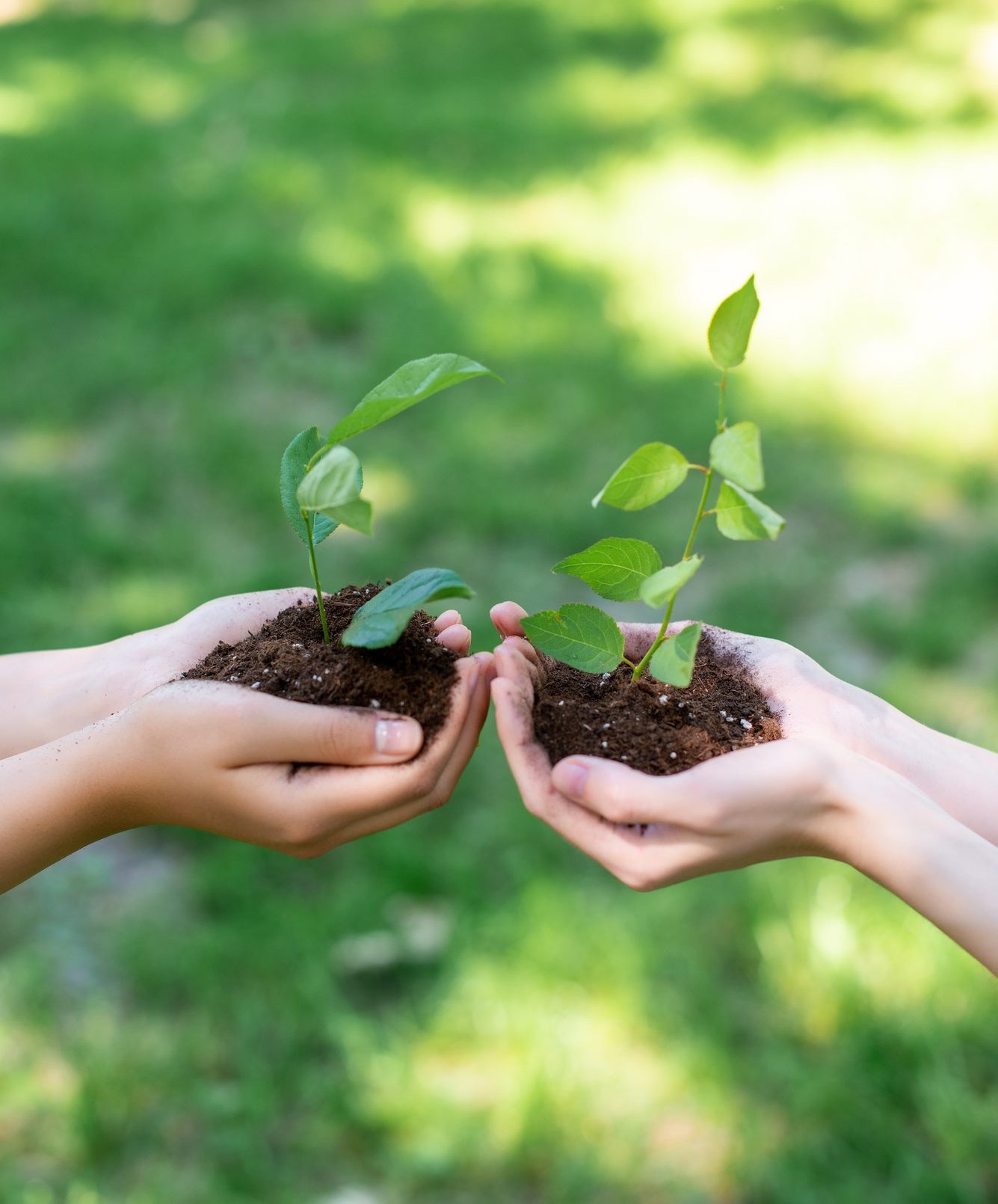 cropped view of girls holding ground with seedlings in hands